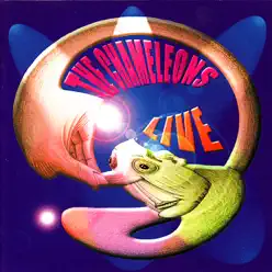 Live At the Academy Vol. 1 - The Chameleons
