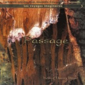 Passage - The Best of Thierry David