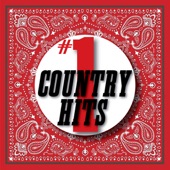 #1 Country Hits artwork