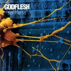 Selfless - Godflesh