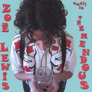 télécharger l'album Zoë Lewis - Small Is Tremendous
