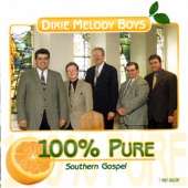 100% Pure Southern Gospel artwork
