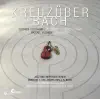 Stream & download Kreuzuber Bach