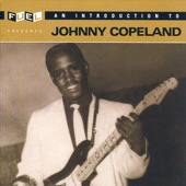 Johnny Copeland - Hear What I Said