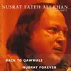 Back to Qawwali / Nusrat Forever album lyrics, reviews, download