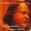 Back to Qawwali / Nusrat Forever