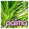 Palma - Single