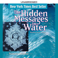 Masaru Emoto - The Hidden Messages in Water artwork