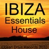 IBIZA Essentials House