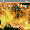 Johann Schop, 2006