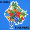 Bullhead album lyrics, reviews, download
