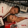 Paso Doble - Computerliebe (Remake)