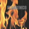 Flamenco, 2008