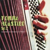 Forró Acústico Vol. 2 - Accordéon Du Nordeste Du Brésil