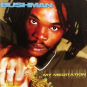 Bushman - My Meditation