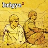 brigyn2