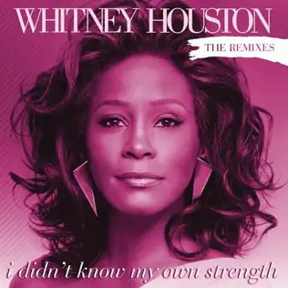 ladda ner album Whitney Houston - I Didnt Know My Own Strength The Remixes