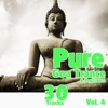 Pure Goa Trance, Vol. 4