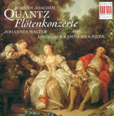 Flute Concerto In B Minor, QV 5:272: III. Prestissimo artwork