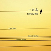 Song of the Solitary Bird (一只鸟仔哮啾啾) artwork