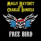 Molly Hatchet - Free Bird