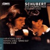 Franz Schubert: Works for Piano 4 Hands Vol. II