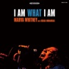 I Am What I Am (with Osaka Monaurail), 2006