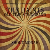The Haints Old Time Stringband - Bob Mckinney