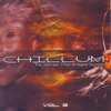 Chillum Vol. 3 - the Ultimate Tribal Ambient Journey, 2003