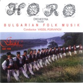 Horo Orchestra & Vassil Purvanov - The Long One