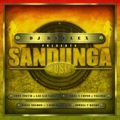DJ Reflex Presents Sandunga Music artwork