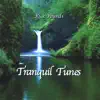 Tranquil Tunes album lyrics, reviews, download