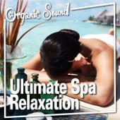 Music for Spa Relaxation - Relaxing Rhythm for Meditation