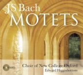 Bach: Motets artwork