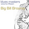 Blues Masters (Volume 15), 2009