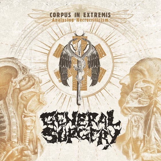 Cover artwork for Plexus Necrosis