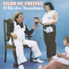 Gildo de Freitas