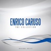 Enrico Caruso: Le origini, 2010