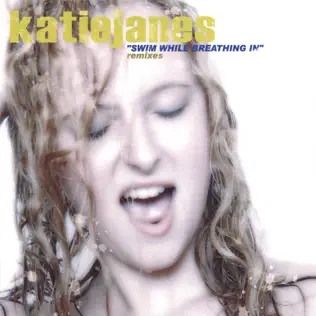 télécharger l'album Katie Janes - Swim While Breathing In Remixes