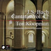 Bach: Cantatas, Vol. 12 artwork
