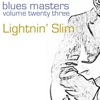 Blues Masters, Vol. 23