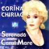 Serenada Pentru Carul Mare (Serenade for Ursa Major)