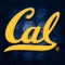 Golden Bear - University of California Marching Band lyrics