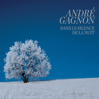 André Gagnon - Dans le silence de la nuit artwork