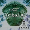 Sensual Tribal House, Vol. 1