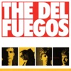 The Del Fuegos - Mary Don't Change