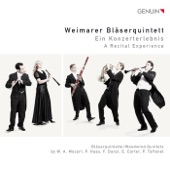 Wind Quintet in G Minor, Op. 56, No. 2: I. Allegretto artwork