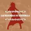 Las Marimbas de Guatemala - Crazy Rod