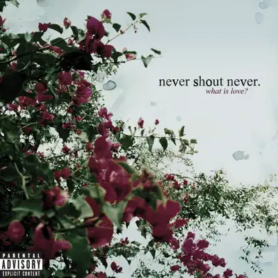 What Is Love? (Bonus Track Version) - Never Shout Never