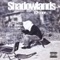 Shadowlands (feat. Bobby Drake) - JC Poppe lyrics